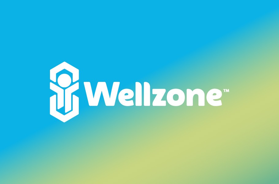 Wellzone - KONSEPTİZ Reklam Ajansı İzmir